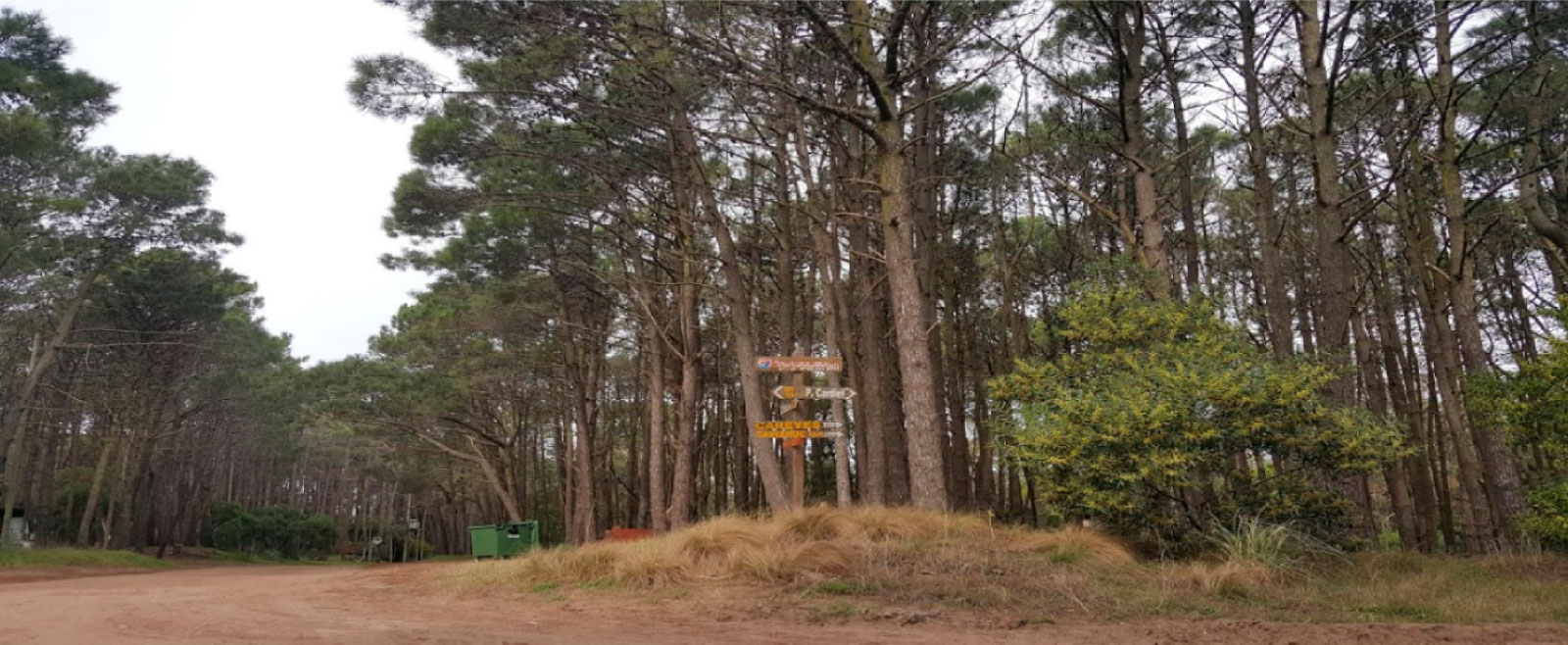 casas en las gaviotas